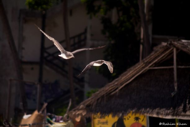 diani beach